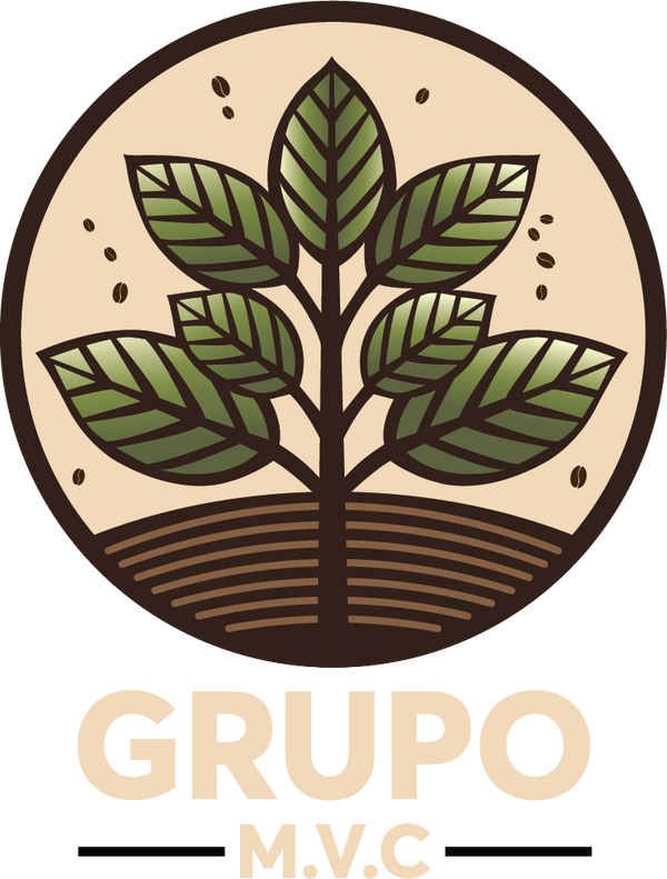 mvc group
